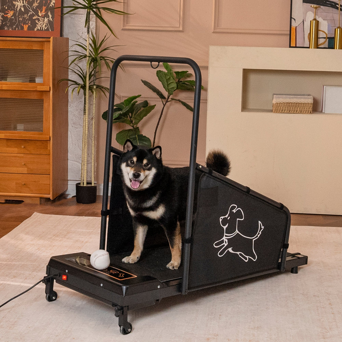 Dog treadmill for medium dogs, indoor exercise machine