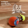 Automatic Gravity Ball Cat Toy – Interactive Rolling Cat Toy — view 1