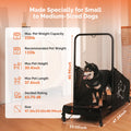 Dog Treadmill for Medium Dogs – Indoor Exercise Running Machine — view 4